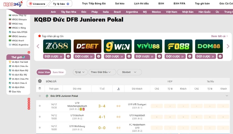 Đức DFB Junioren Pokal
